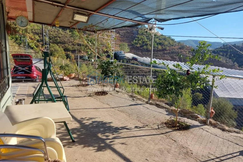 Ферма в районе Демирташ с большим земельными участком  8 