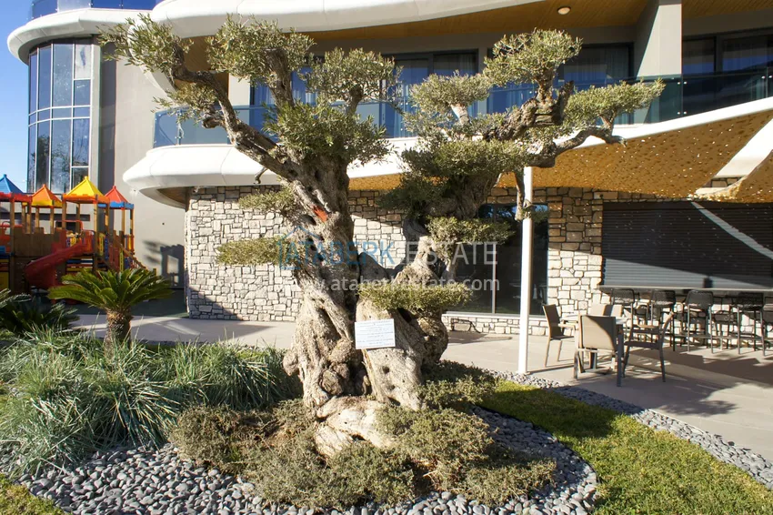 Квартиры в Каргыджаке в новой современной резиденции на первой береговой линии 6