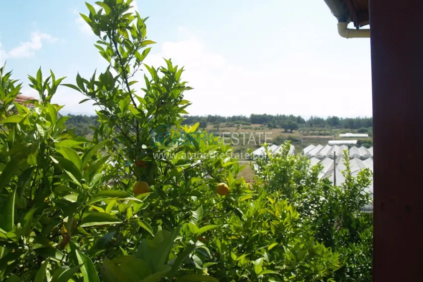 Приобрести Вилла в Алании, район Тюрклер с мебелью и бассейном на крыше 22 