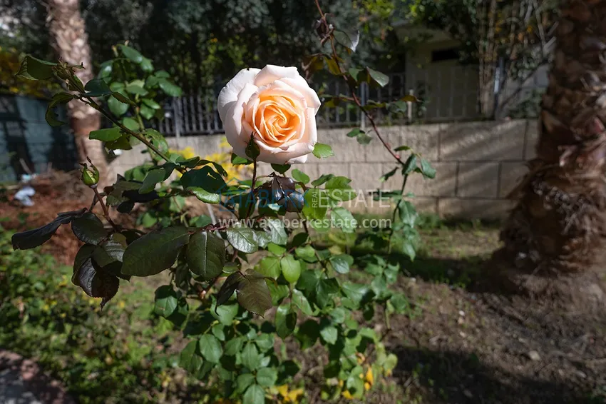 Квартира в центре Алании меблированная с видом на горы и море 8 