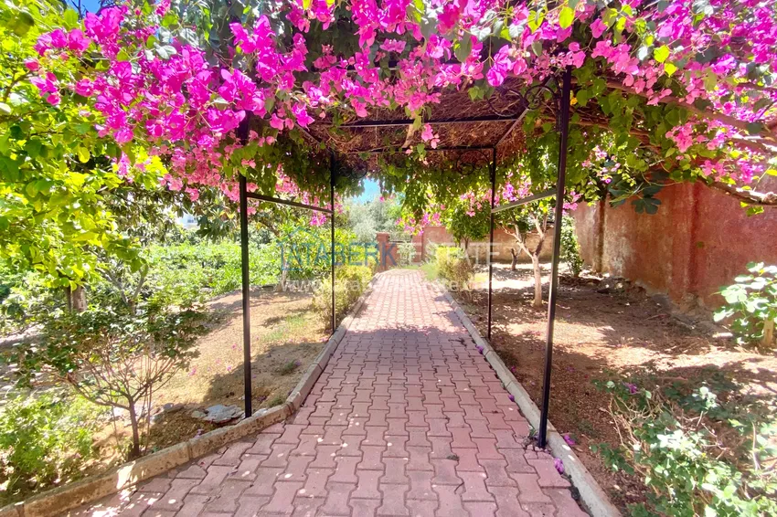 Видовая квартира в Алании район Джикджилли с мебелью в уютном комплексе 11