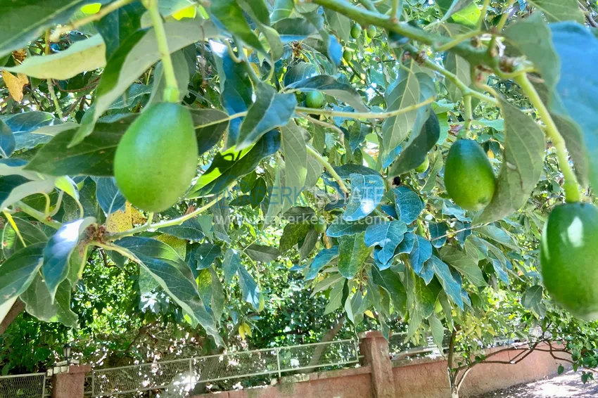 Видовая квартира в Алании район Джикджилли с мебелью в уютном комплексе 13