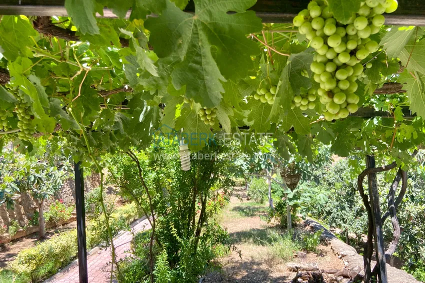 Видовая квартира в Алании район Джикджилли с мебелью в уютном комплексе 9