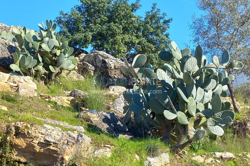 Горящее предложение! Квартира 2+1 с прекрасными видовыми характеристиками - Алания, Демирташ 9 