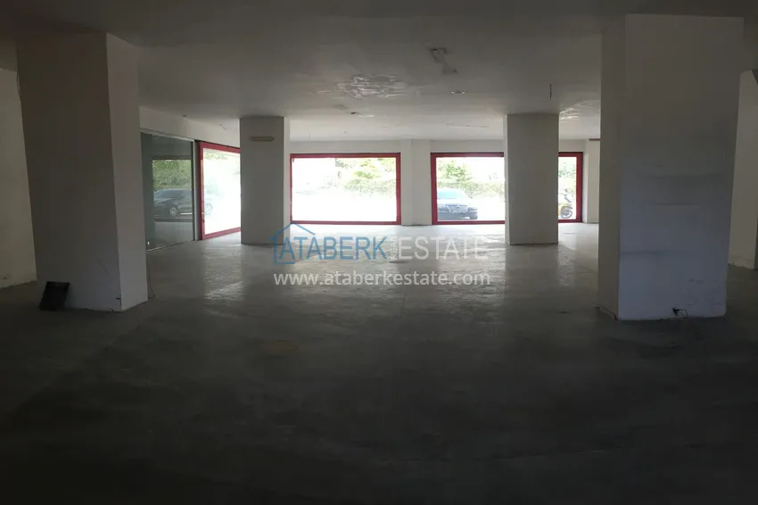 Приобрести Коммерческая недвижимость в центре Алании – гражданство  4 