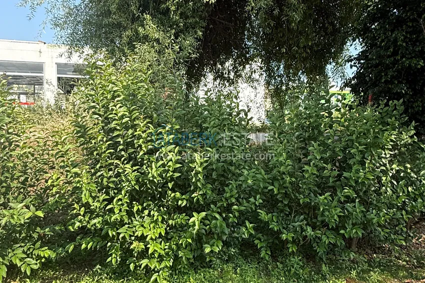 Трёхкомнатная квартира с новой мебелью после ремонта в жилом комплексе у реки, Кестель, Алания 18 