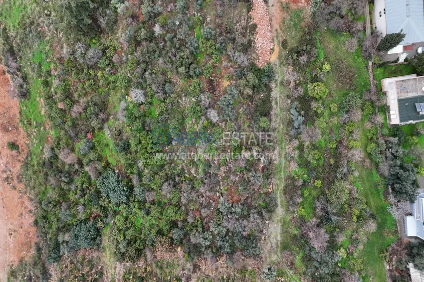 Фото -  Инвестиционный проект в Кестеле — современный комфорт и утончённый образ жизни у моря 10 