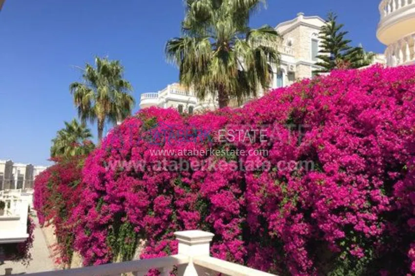 Приобрести Вилла в элитном клубе Оазис 2. 42 