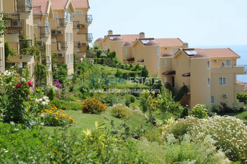 Предложение от собственника в комплексе Голд сити 3 