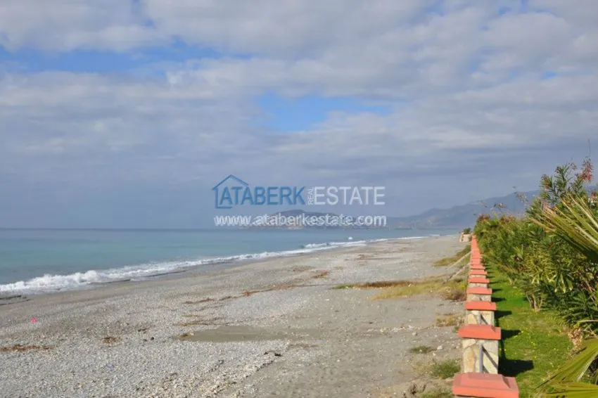 Трехкомнатная квартира на первой линии от моря 14