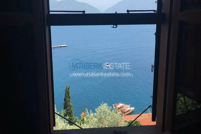 Старинный особняк с потрясающим видом 17 