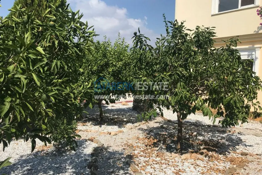 Вилла с садом и потрясающим видом, ждет своего нового владельца! 10 