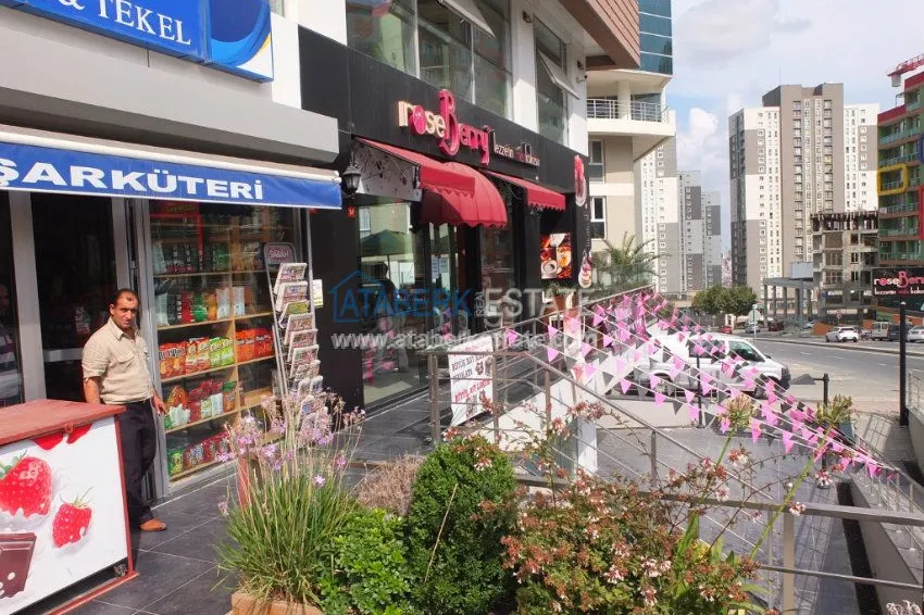 Шикарный построенный новый комплекс в Стамбуле 18