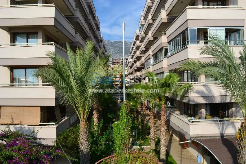 Просторный пентхаус в престижном районе от собственника 24