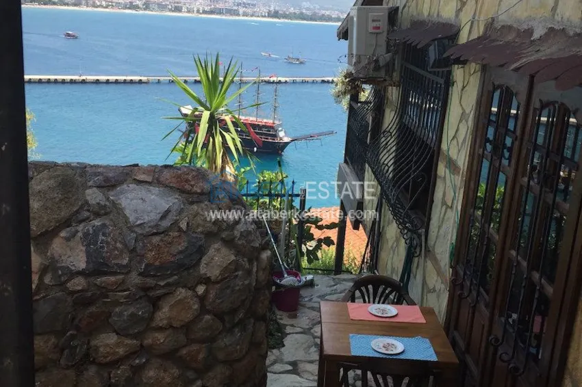 Старинный особняк с потрясающим видом 20 