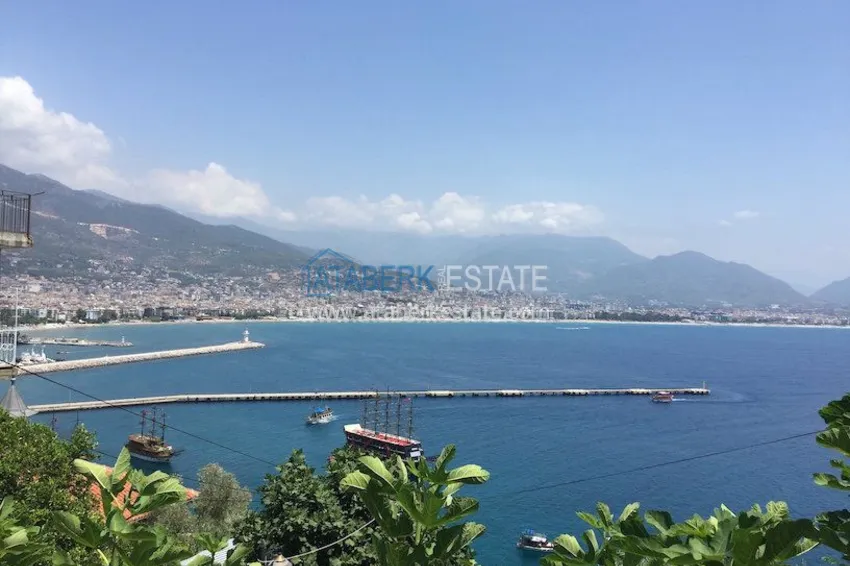 Старинный особняк с потрясающим видом 25 