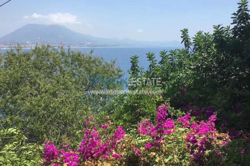 Старинный особняк с потрясающим видом 28 