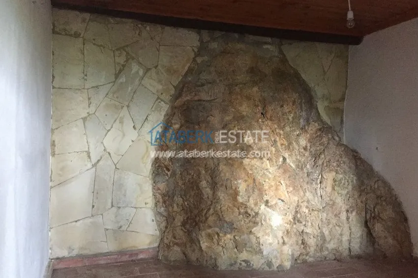 Старинный особняк с потрясающим видом 33 