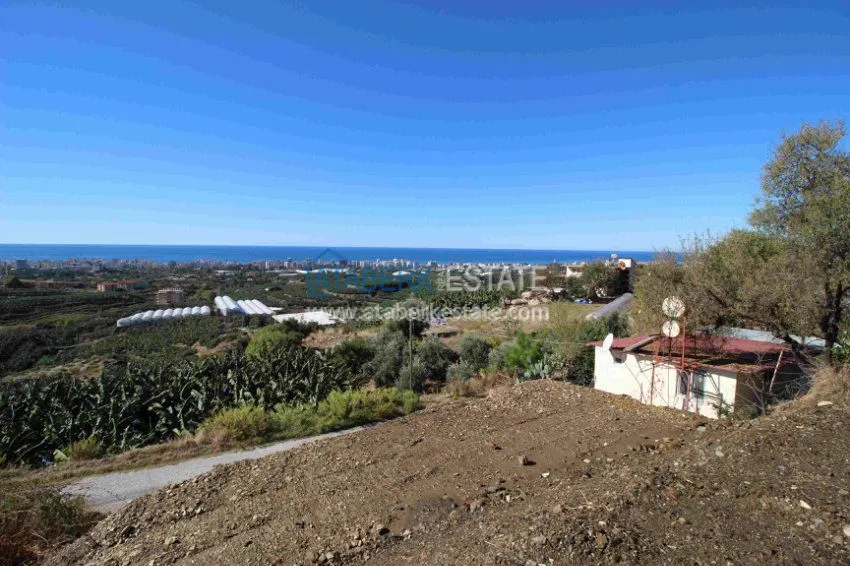 2+1 в комплексе с закрытым и открытым бассейнами  2 