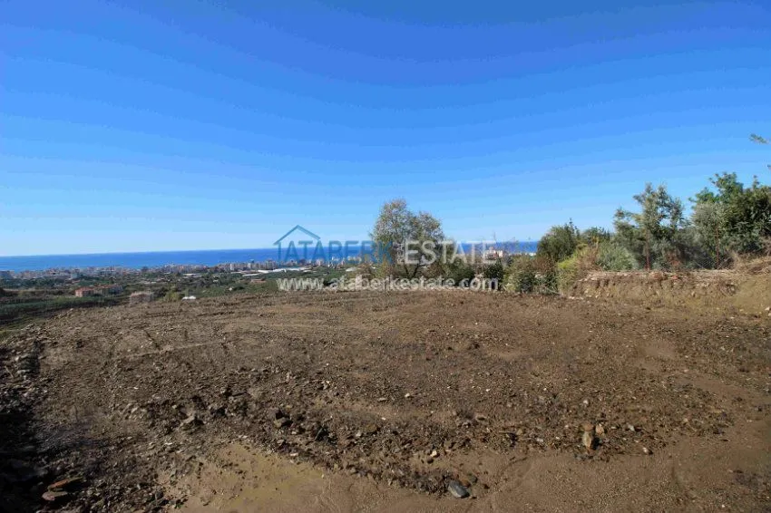 2+1 в комплексе с закрытым и открытым бассейнами  4 