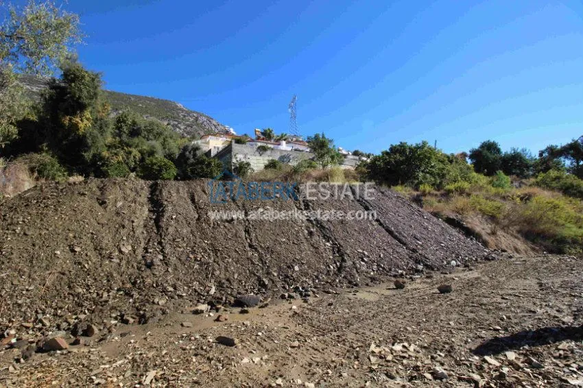 2+1 в комплексе с закрытым и открытым бассейнами  5 