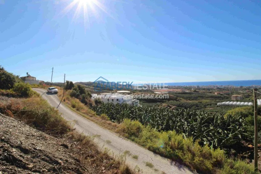 2+1 в комплексе с закрытым и открытым бассейнами  6 