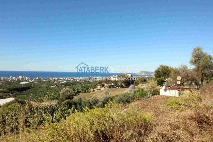 2+1 в комплексе с закрытым и открытым бассейнами  7 