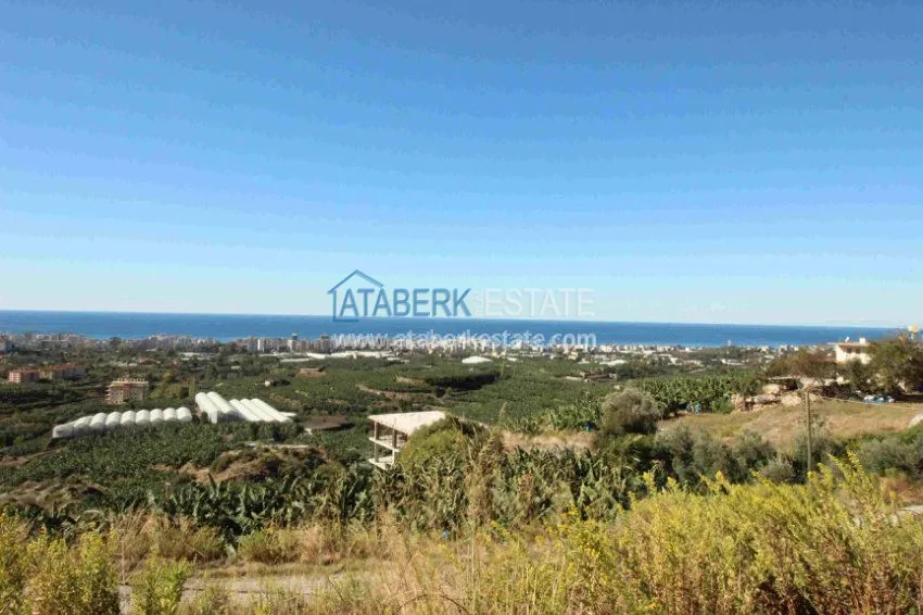 2+1 в комплексе с закрытым и открытым бассейнами  8 