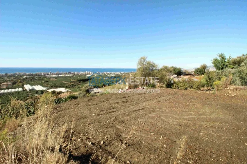 2+1 в комплексе с закрытым и открытым бассейнами  9 