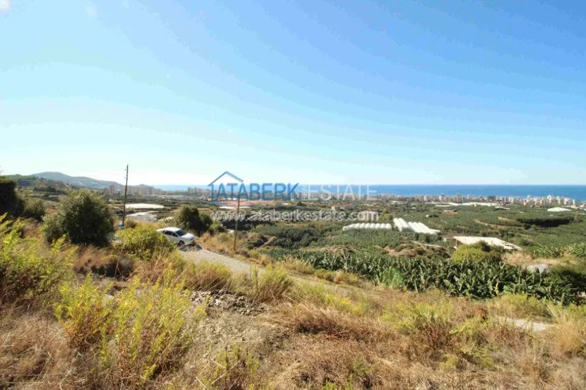 2+1 в комплексе с закрытым и открытым бассейнами  10 