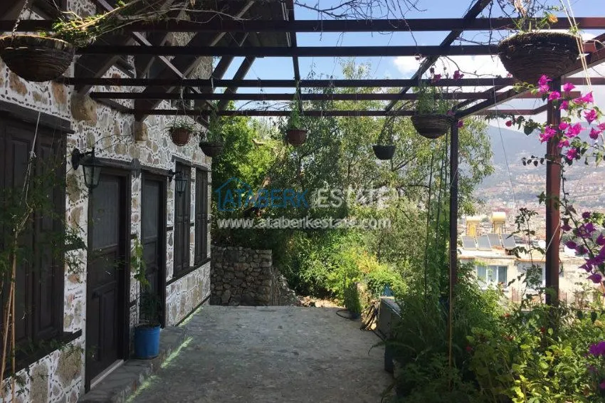 Старинный особняк с потрясающим видом 44 