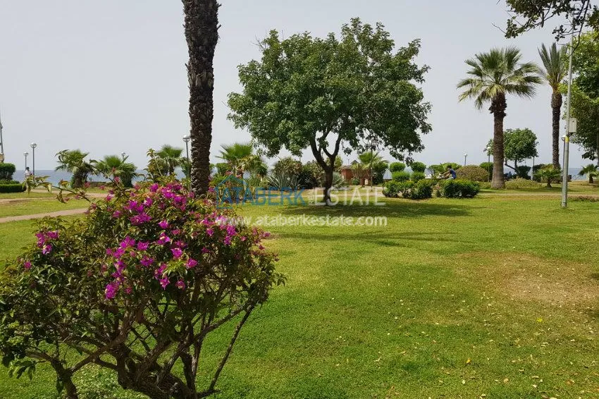 Популярный отель в самом центре Алании 15