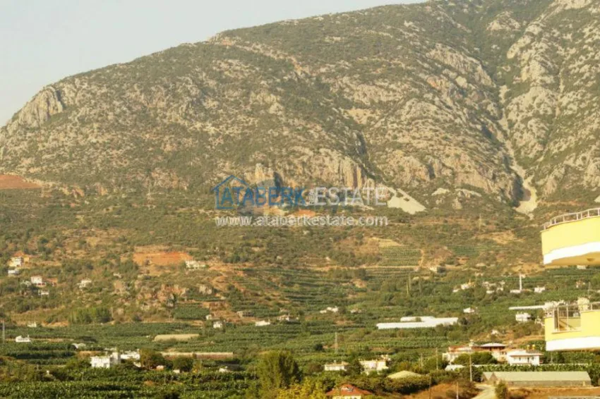 Аренда квартиры в комплексе с закрытым бассейном у моря в популярном районе Аланьи Махмуларе 18