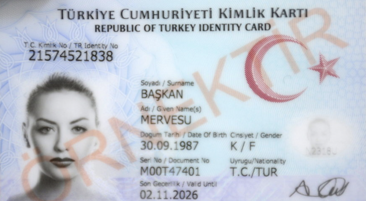 турецкий паспорт 