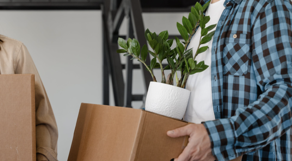 переезд на пмж