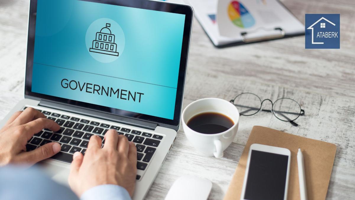 Что такое e-Devlet в Турции