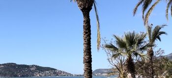 Стоит ли ехать на зиму в Турцию?