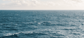 море