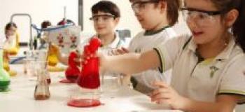 Школы в Турции