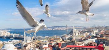 районы для жизни в Стамбуле